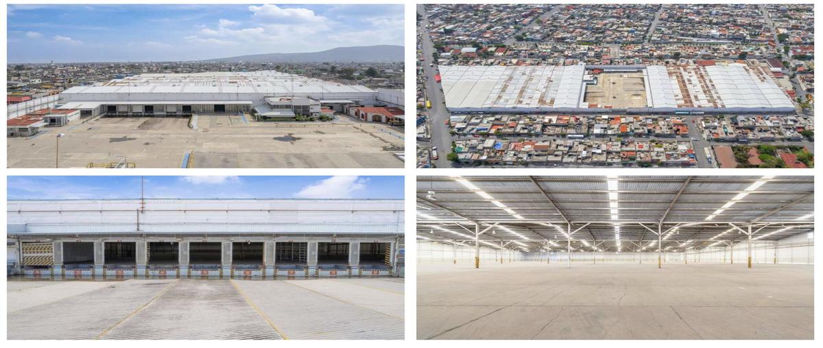 Foto de bodega en renta en  , valle de los pinos, la paz, méxico, 0 No. 04