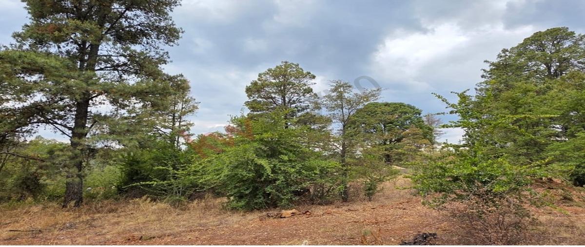 Foto de terreno habitacional en venta en valle de los reyes 1006, atemajac de brizuela, atemajac de brizuela, jalisco, 0 No. 03