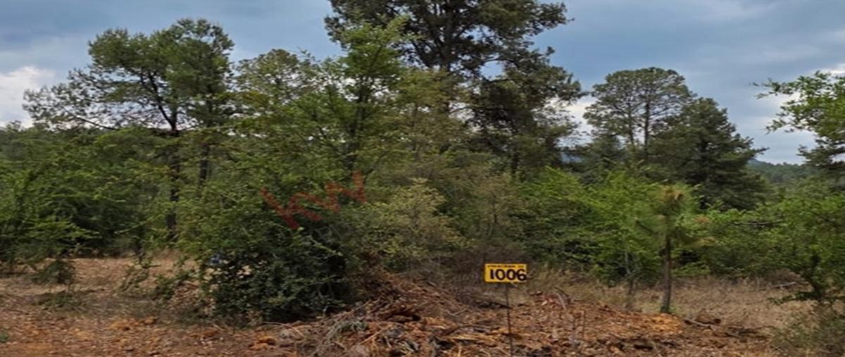 Foto de terreno habitacional en venta en valle de los reyes 1006, atemajac de brizuela, atemajac de brizuela, jalisco, 0 No. 04