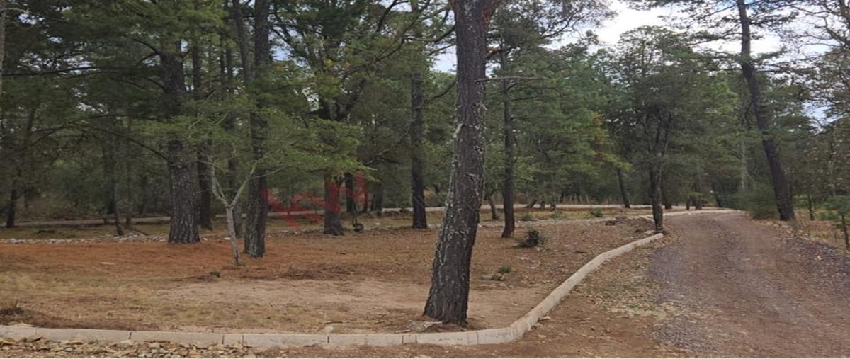 Foto de terreno habitacional en venta en valle de los reyes 1006, atemajac de brizuela, atemajac de brizuela, jalisco, 0 No. 05