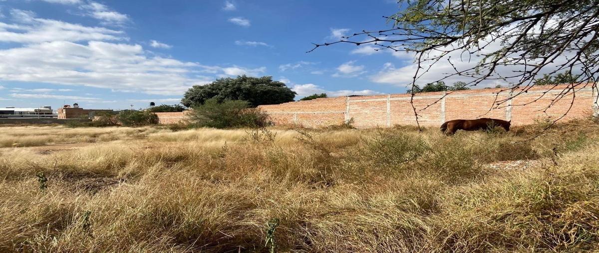 Foto de terreno habitacional en venta en  , valle de margaritas, jesús maría, aguascalientes, 0 No. 04