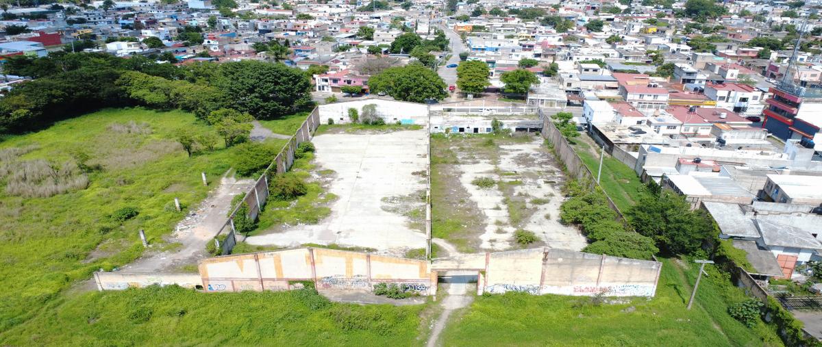 Foto de bodega en venta en  , valle de matatipac, tepic, nayarit, 26350708 No. 02