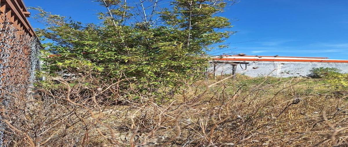 Foto de terreno habitacional en venta en  , valle de salinas, salinas victoria, nuevo león, 0 No. 05