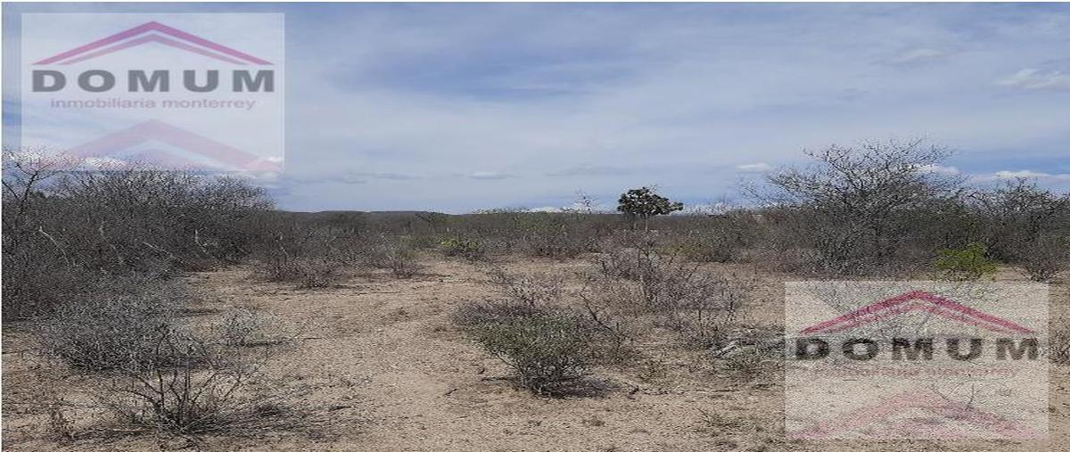 Foto de terreno habitacional en venta en  , valle de salinas, salinas victoria, nuevo león, 0 No. 05
