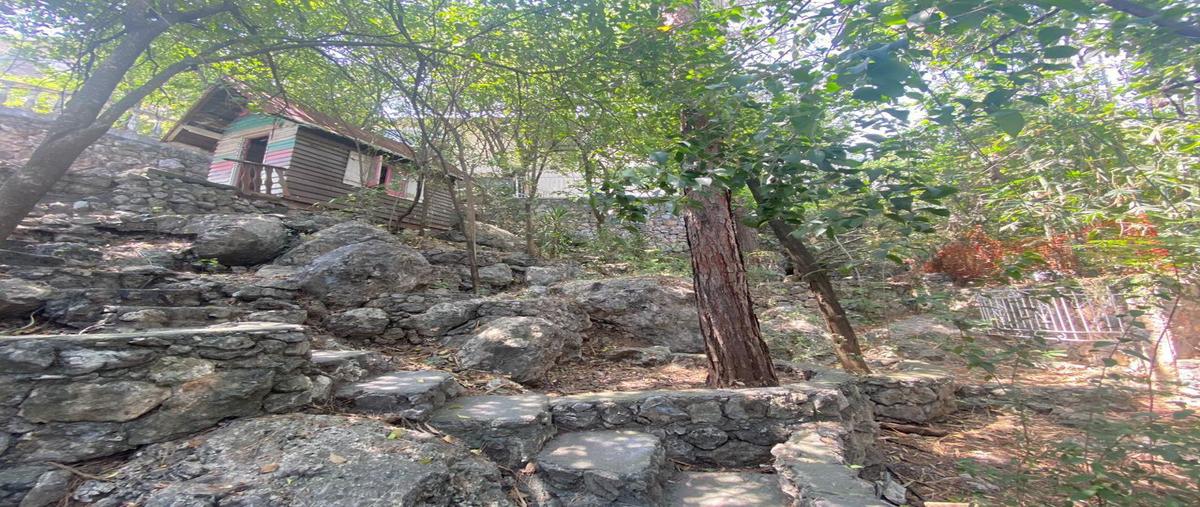 Foto de casa en venta en  , valle de san angel sect frances, san pedro garza garcía, nuevo león, 0 No. 03