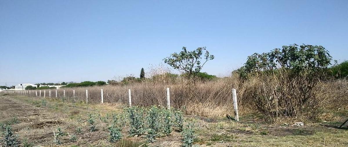 Foto de terreno habitacional en venta en  , valle de san carlos, león, guanajuato, 0 No. 03