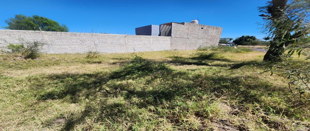 Foto de terreno habitacional en venta en valle de san miguel , san miguel cuyutlan, tlajomulco de zúñiga, jalisco, 0 No. 05