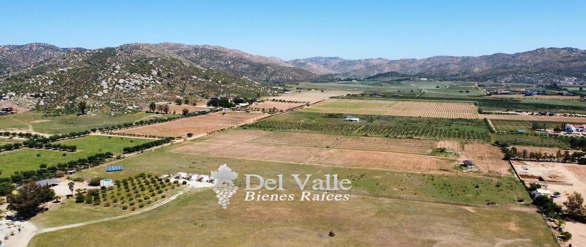Foto de terreno habitacional en venta en  , valle de san quintín, ensenada, baja california, 24710406 No. 03