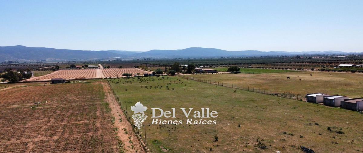 Foto de terreno habitacional en venta en  , valle de san quintín, ensenada, baja california, 24710406 No. 04