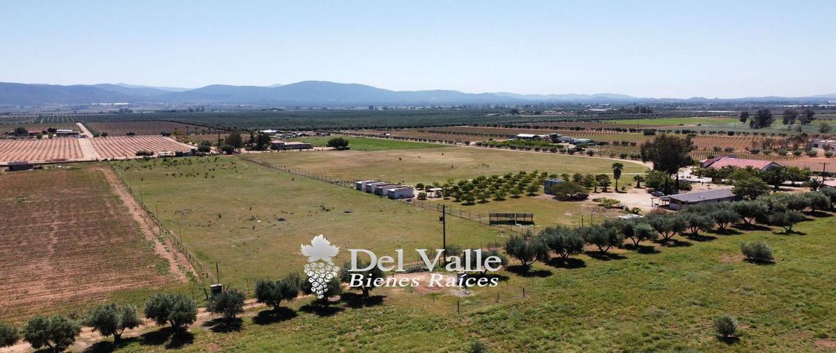 Foto de terreno habitacional en venta en  , valle de san quintín, ensenada, baja california, 24710406 No. 05