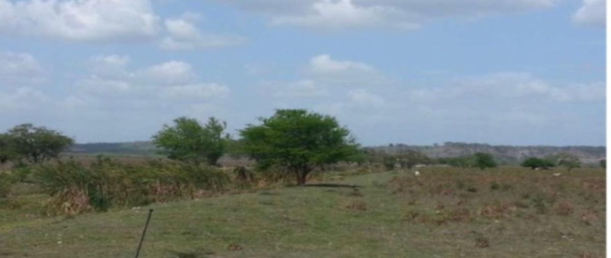Foto de terreno habitacional en venta en valle de yohaltún, ejido buenaventura, , yohaltun, champotón, campeche, 25716039 No. 03
