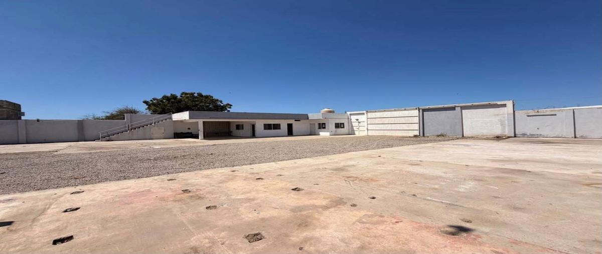 Foto de bodega en renta en  , valle del ejido, mazatlán, sinaloa, 0 No. 03