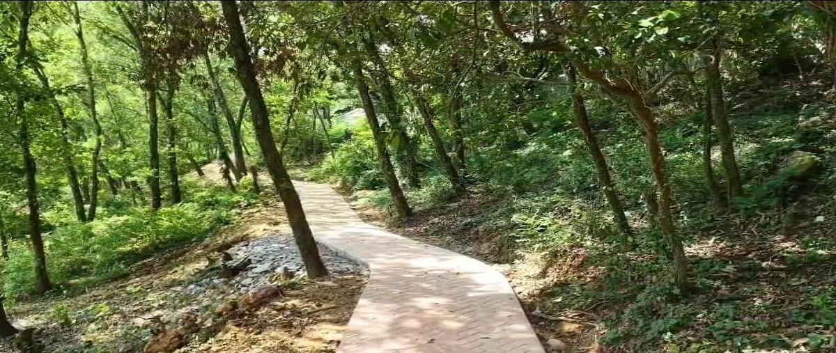 Foto de terreno habitacional en valle del encino , san francisco, santiago, nuevo león, 0 foto 01 Foto de terreno habitacional en venta en valle del encino , san francisco, santiago, nuevo león, 0 No. 01