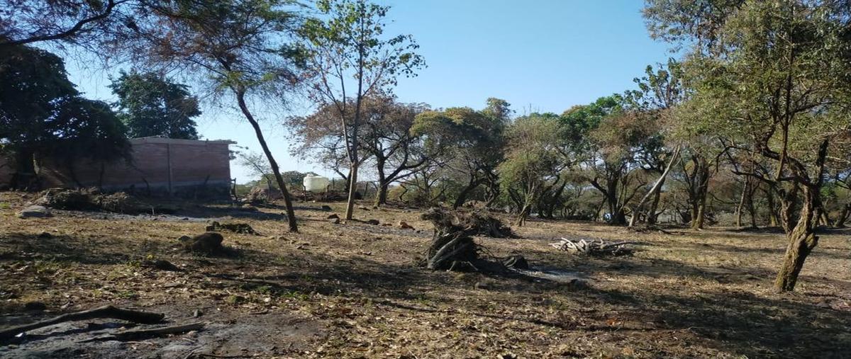 Foto de terreno habitacional en venta en valle del volcan campestre 0, cofradía de suchitlán, comala, colima, 0 No. 05