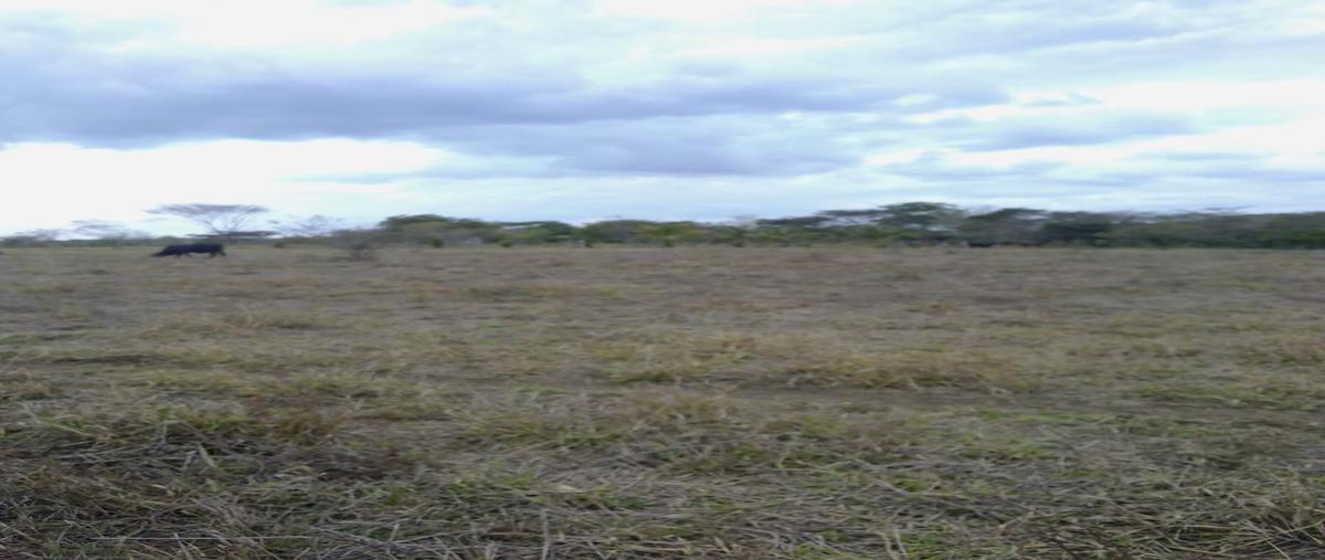 Foto de rancho en venta en  , valle dorado, josé azueta, veracruz de ignacio de la llave, 0 No. 03