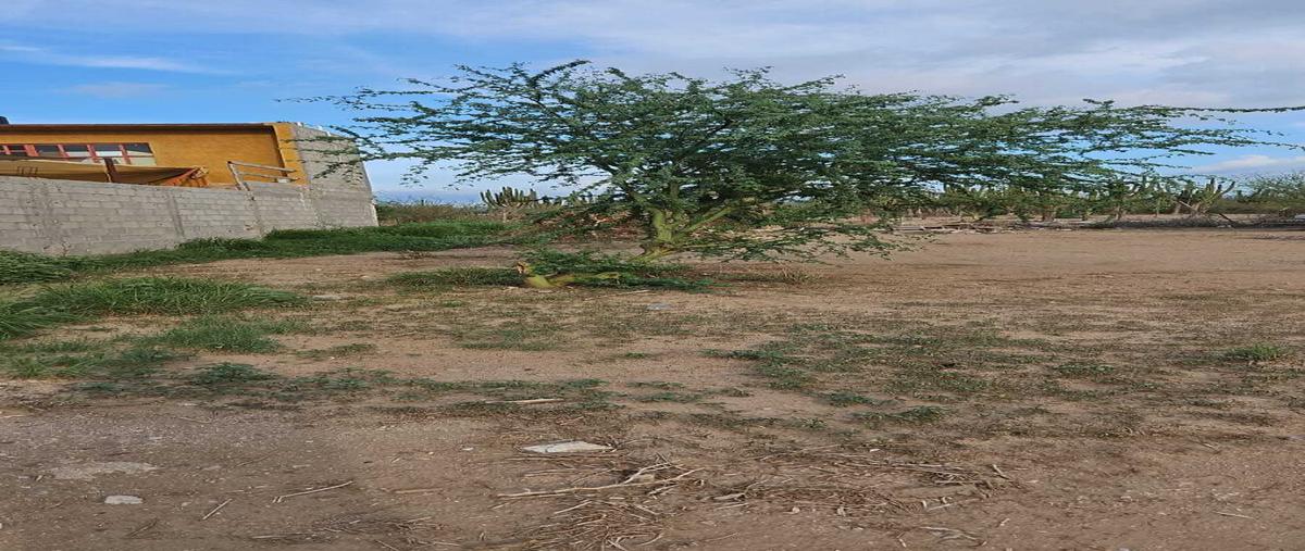 Foto de terreno habitacional en venta en  , valle dorado, la paz, baja california sur, 29916801 No. 03