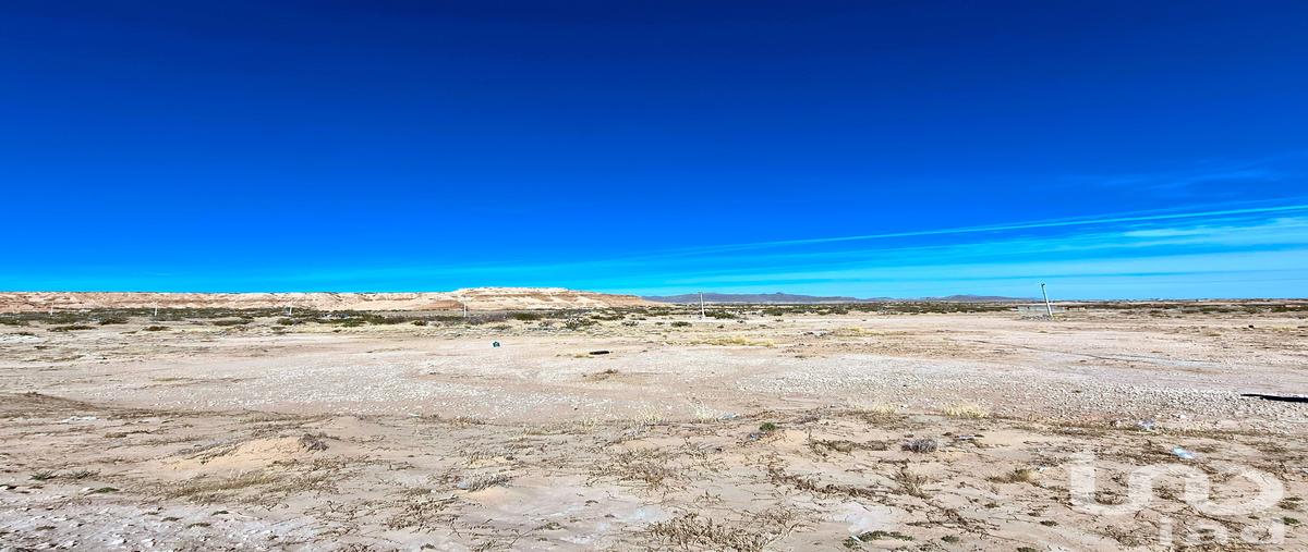 Foto de terreno habitacional en venta en valle dorado , samalayuca, juárez, chihuahua, 30914533 No. 03