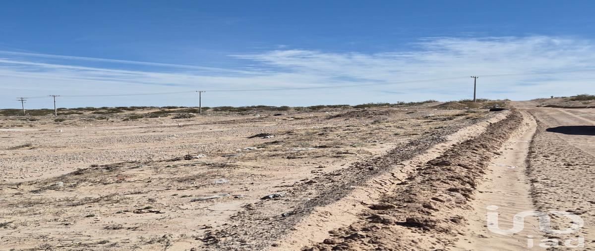 Foto de terreno habitacional en venta en valle dorado , samalayuca, juárez, chihuahua, 30914533 No. 05