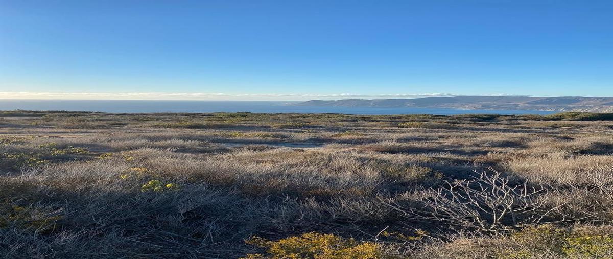 Foto de terreno habitacional en venta en valle , francisco zarco (valle de guadalupe), ensenada, baja california, 0 No. 05
