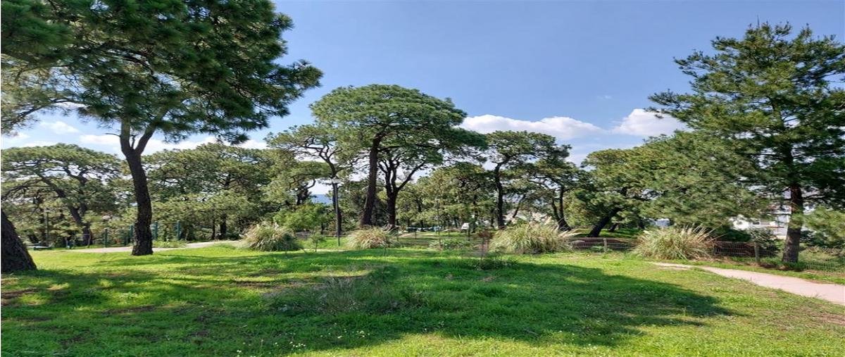 Foto de terreno habitacional en , valle imperial, zapopan, jalisco, 0 foto 04 Foto de terreno habitacional en venta en , valle imperial, zapopan, jalisco, 0 No. 04