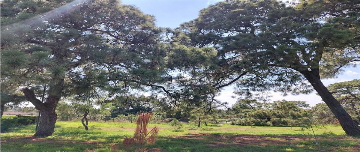 Foto de terreno habitacional en , valle imperial, zapopan, jalisco, 0 foto 05 Foto de terreno habitacional en venta en , valle imperial, zapopan, jalisco, 0 No. 05