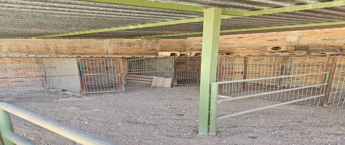 Foto de terreno habitacional en venta en  , valle imperial, zapopan, jalisco, 29918122 No. 03