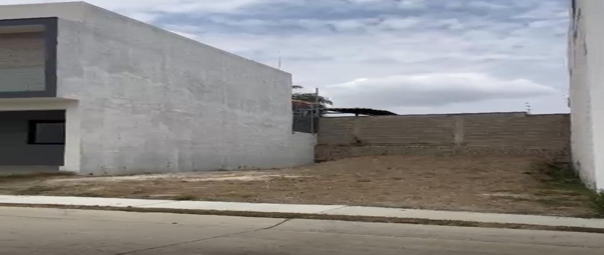 Foto de terreno habitacional en venta en  , valle norte, zapopan, jalisco, 0 No. 04