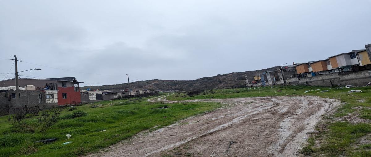 Foto de terreno habitacional en valle real , los valles, tijuana, baja california, 27972336 foto 04 Foto de terreno habitacional en venta en valle real , los valles, tijuana, baja california, 27972336 No. 04