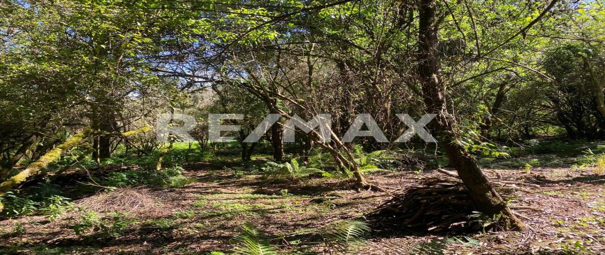 Foto de terreno habitacional en venta en valle santana , cuadrilla de dolores, valle de bravo, méxico, 24794540 No. 03
