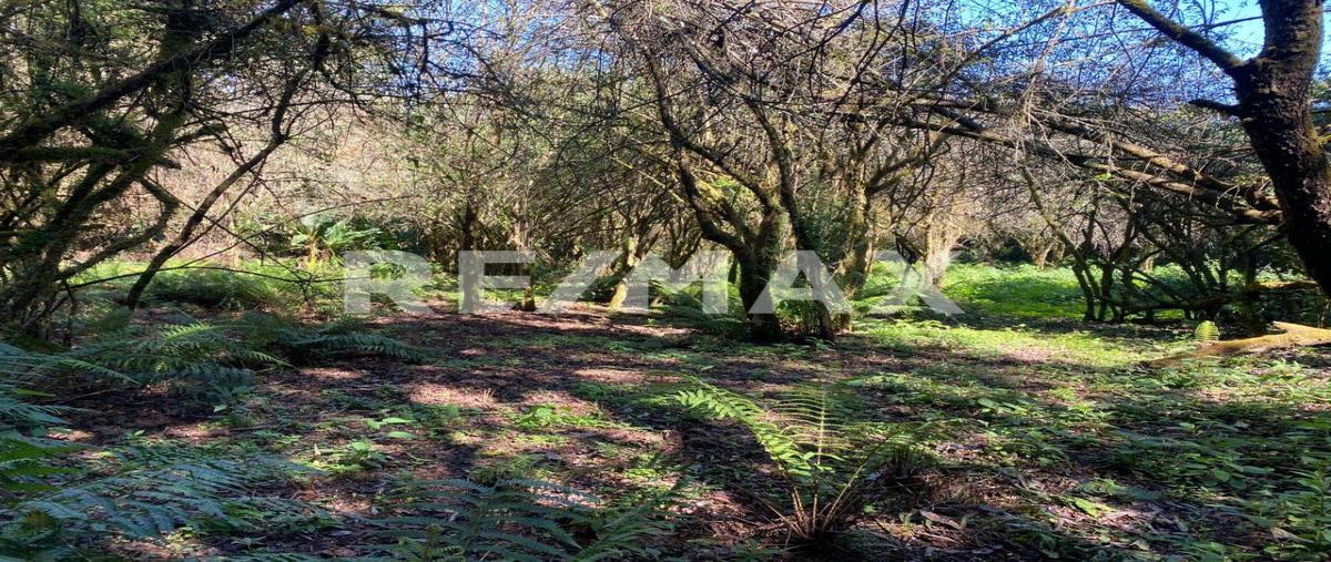 Foto de terreno habitacional en venta en valle santana , cuadrilla de dolores, valle de bravo, méxico, 24794540 No. 05
