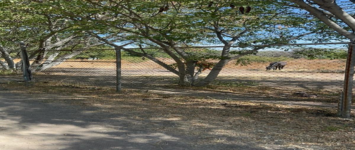 Foto de terreno habitacional en venta en  , valle verde (haciendas valle verde), apaseo el grande, guanajuato, 0 No. 04