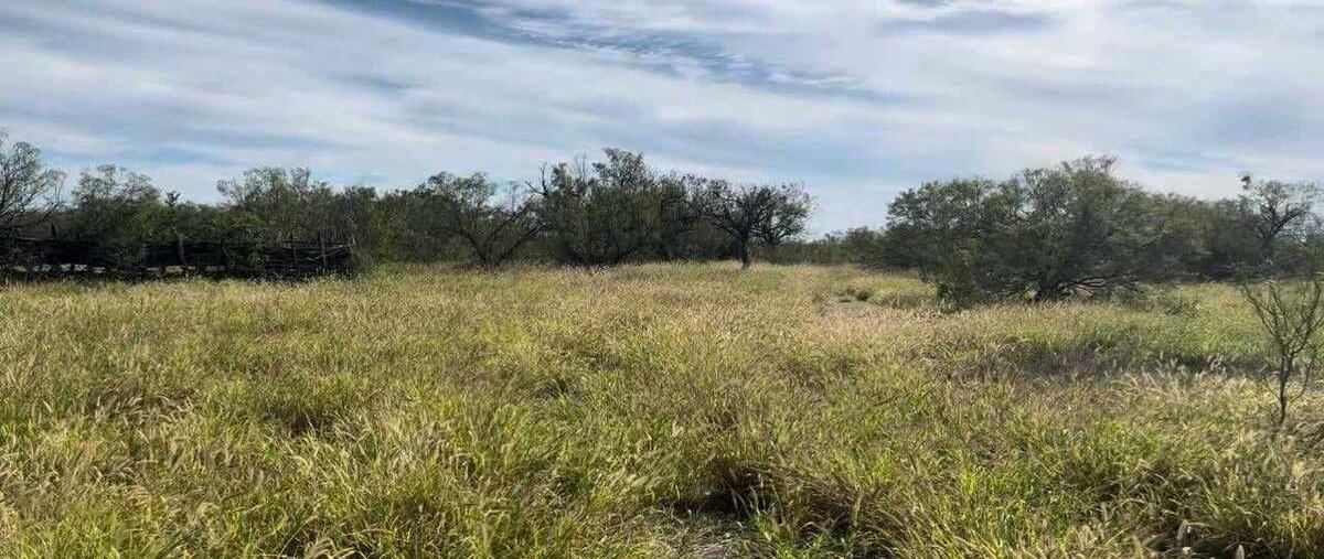 Foto de rancho en venta en vallecillo , vallecillo, vallecillo, nuevo león, 0 No. 03