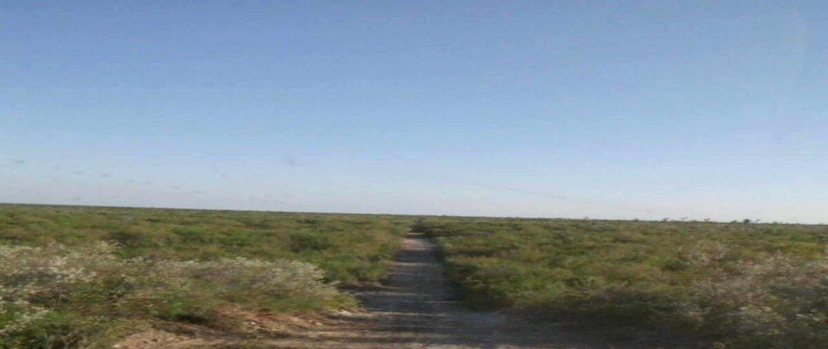 Foto de rancho en venta en vallecillo , vallecillo, vallecillo, nuevo león, 0 No. 04