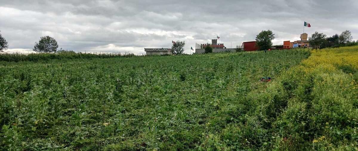 Foto de terreno habitacional en vallejo , tejalpa, zinacantepec, méxico, 0 foto 04 Foto de terreno habitacional en venta en vallejo , tejalpa, zinacantepec, méxico, 0 No. 04