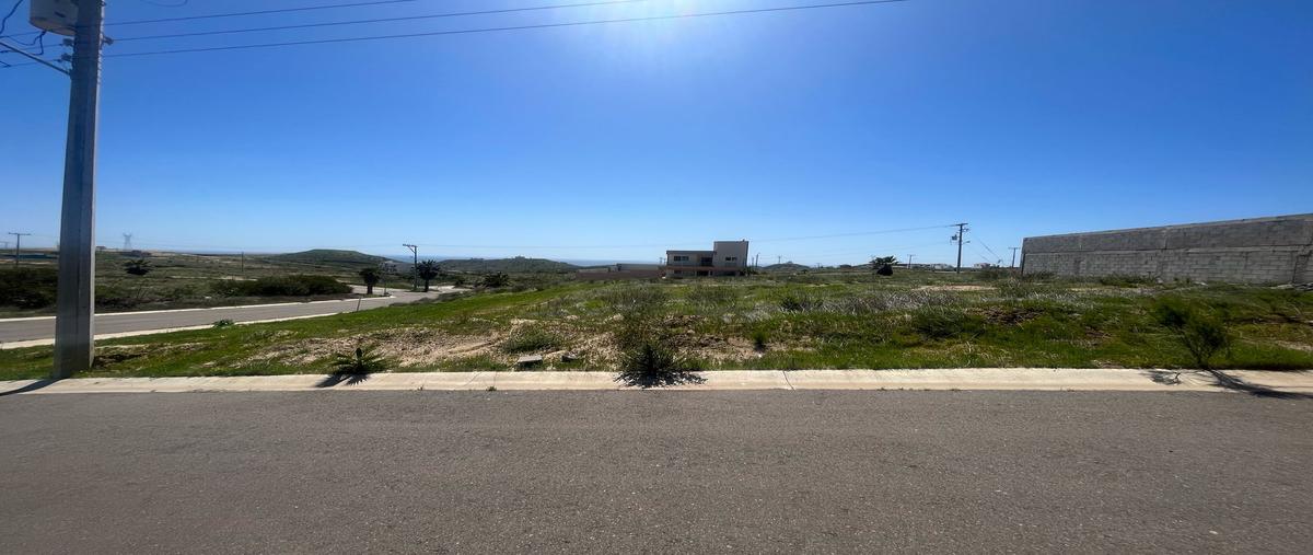 Foto de terreno habitacional en venta en valles del mar , campo real, playas de rosarito, baja california, 29695029 No. 03