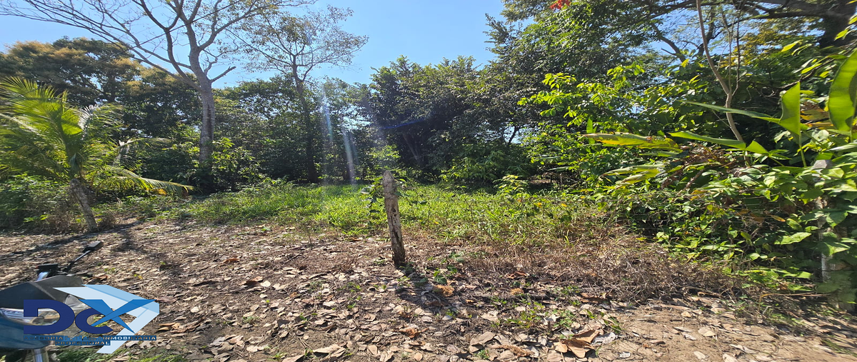 Foto de terreno habitacional en venta en vecinal , gregorio mendez 1a sección, comalcalco, tabasco, 30640806 No. 03