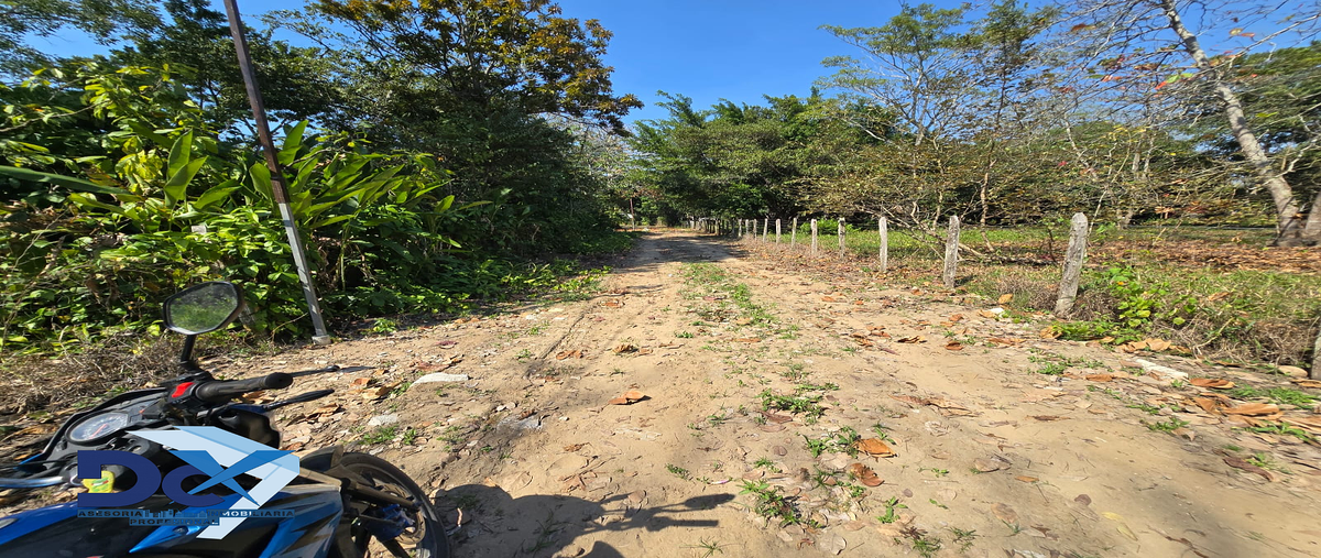 Foto de terreno habitacional en venta en vecinal , gregorio mendez 1a sección, comalcalco, tabasco, 30640806 No. 05