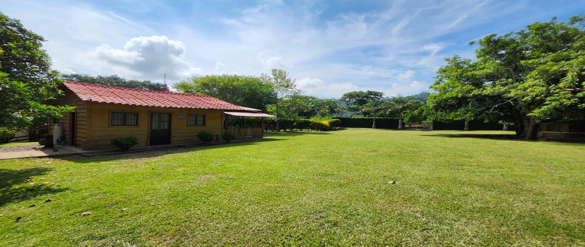 Foto de rancho en venta en  , vega de alatorre, vega de alatorre, veracruz de ignacio de la llave, 0 No. 04