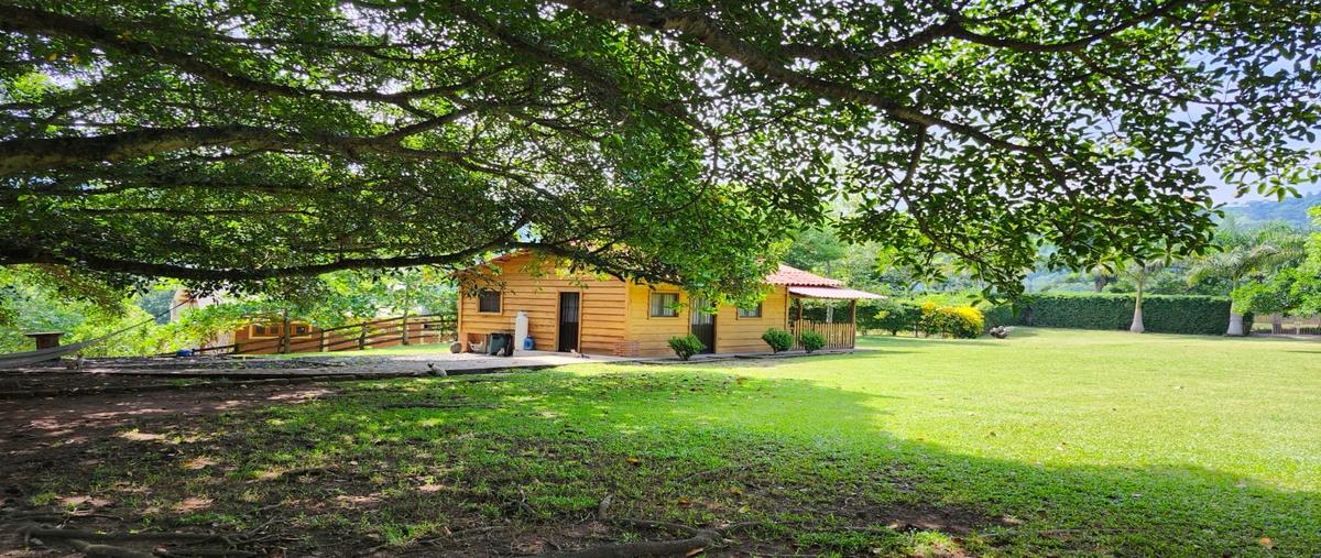Foto de rancho en venta en  , vega de alatorre, vega de alatorre, veracruz de ignacio de la llave, 0 No. 05