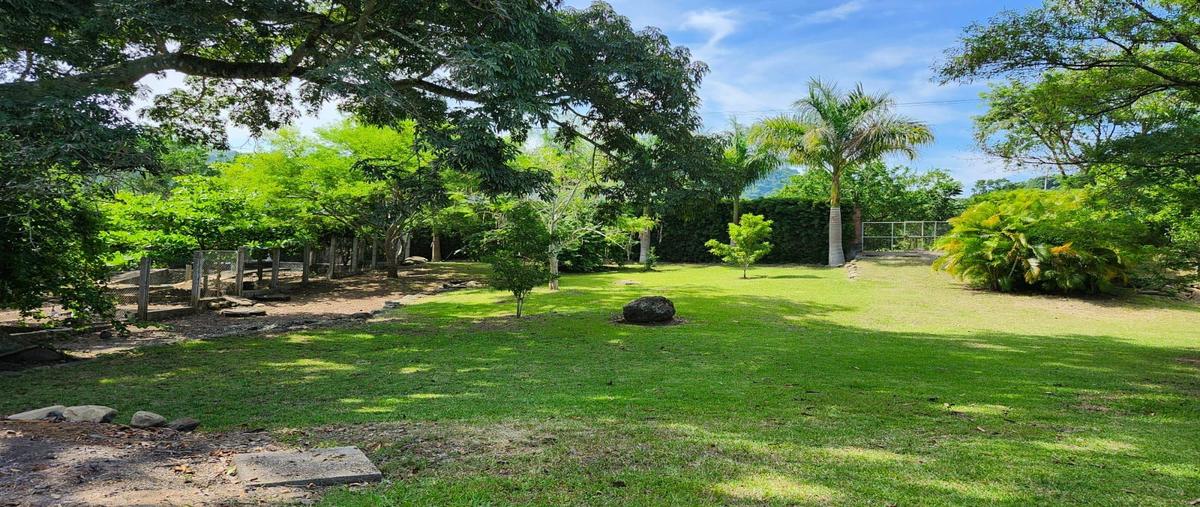 Foto de terreno habitacional en venta en  , vega de alatorre, vega de alatorre, veracruz de ignacio de la llave, 0 No. 05
