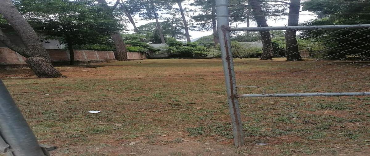 Foto de terreno habitacional en venta en vega del alamo , avándaro, valle de bravo, méxico, 27038864 No. 04