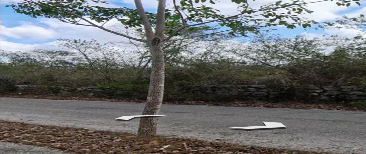 Foto de terreno habitacional en venta en  , vega del mayab, conkal, yucatán, 30203232 No. 04