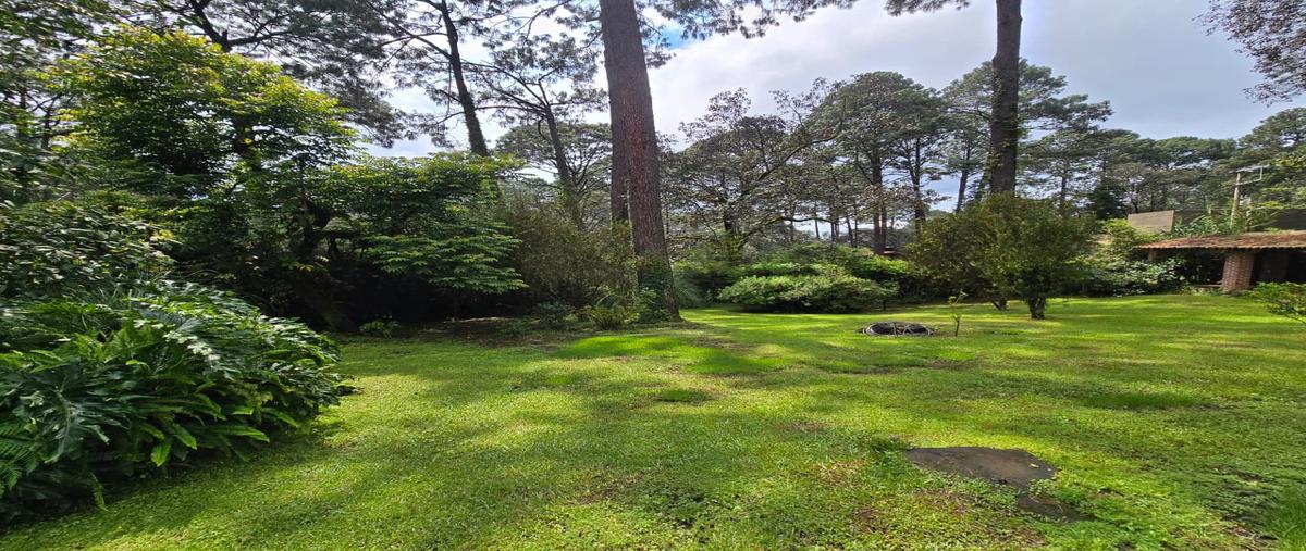 Foto de casa en vega del monte , avándaro, valle de bravo, méxico, 30374899 foto 03 Foto de casa en venta en vega del monte , avándaro, valle de bravo, méxico, 30374899 No. 03