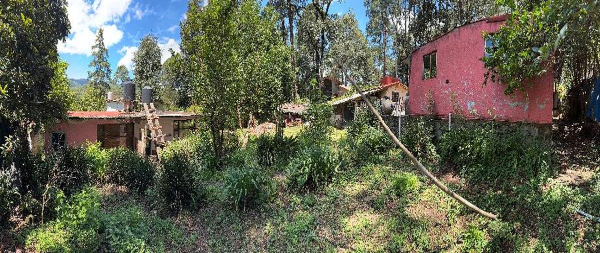 Foto de terreno habitacional en venta en vega del rio , avándaro, valle de bravo, méxico, 28820758 No. 03