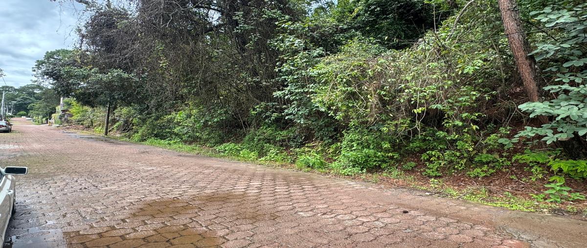 Foto de terreno habitacional en venta en vega del río , avándaro, valle de bravo, méxico, 30006497 No. 03