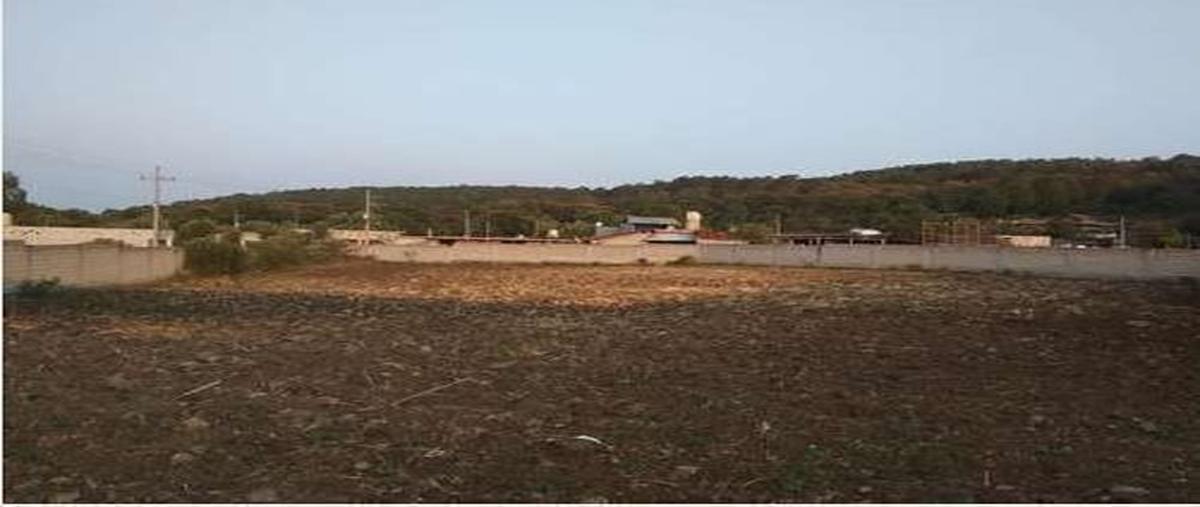 Foto de terreno habitacional en vega del río , san francisco mihualtepec, donato guerra, méxico, 28252782 foto 03 Foto de terreno habitacional en venta en vega del río , san francisco mihualtepec, donato guerra, méxico, 28252782 No. 03