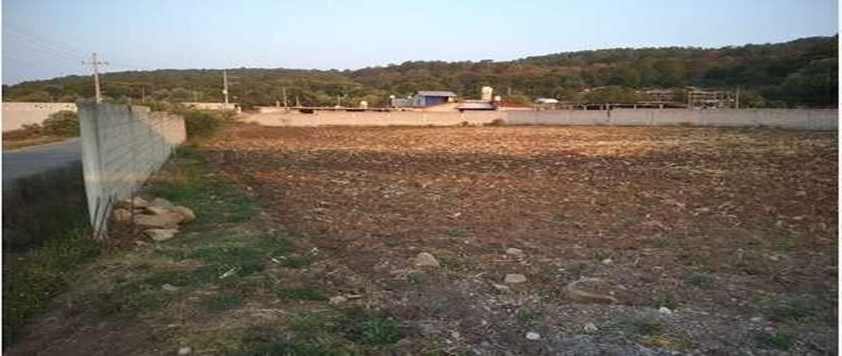 Foto de terreno habitacional en vega del río , san francisco mihualtepec, donato guerra, méxico, 28252782 foto 04 Foto de terreno habitacional en venta en vega del río , san francisco mihualtepec, donato guerra, méxico, 28252782 No. 04