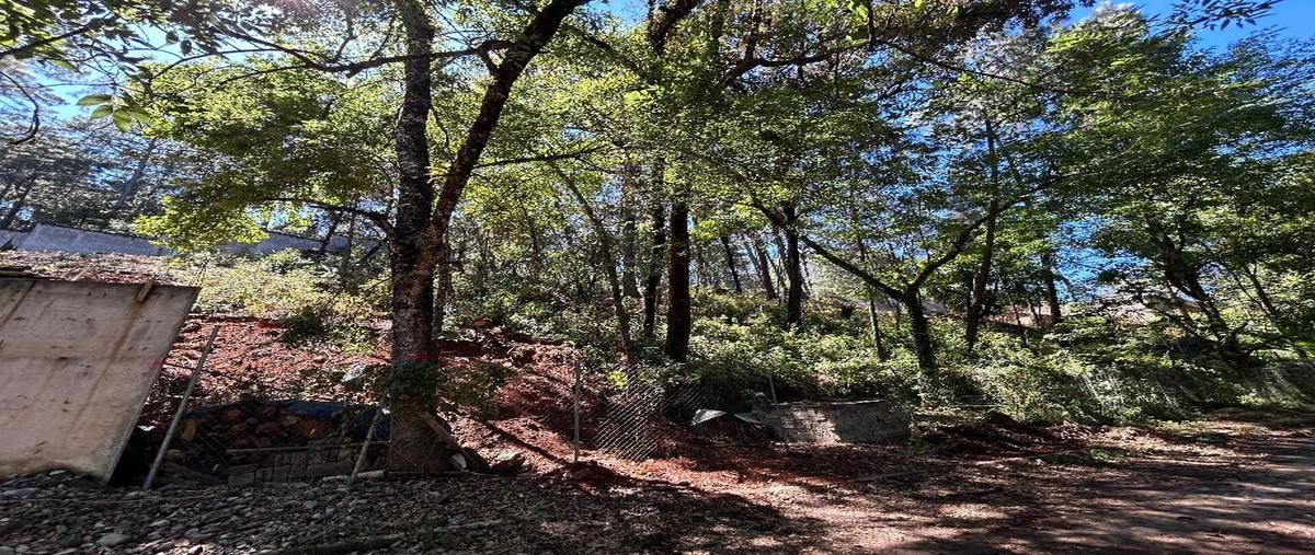 Foto de terreno habitacional en venta en vega del sauce 82, avándaro, valle de bravo, méxico, 29449879 No. 05