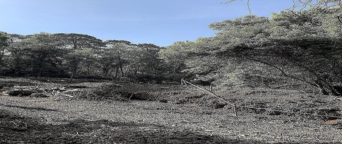 Foto de terreno habitacional en venta en vega del valle , avándaro, valle de bravo, méxico, 0 No. 03