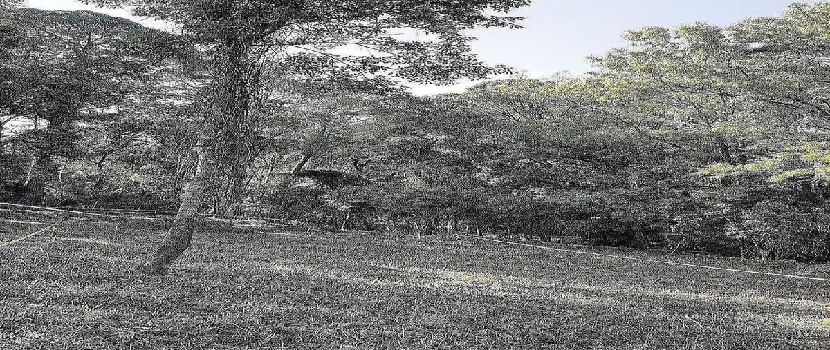 Foto de terreno habitacional en venta en vega del valle , avándaro, valle de bravo, méxico, 0 No. 04